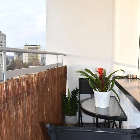 Mck 100m, Spodek 150m, Nospr Apartment *