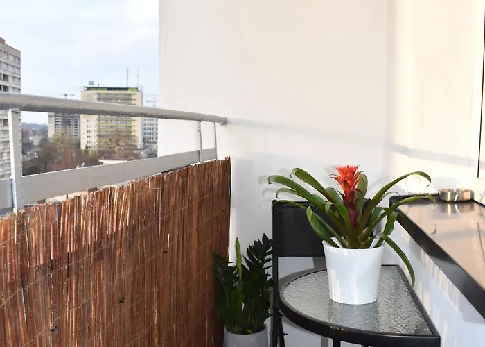 Mck 100m, Spodek 150m, Nospr Apartment *